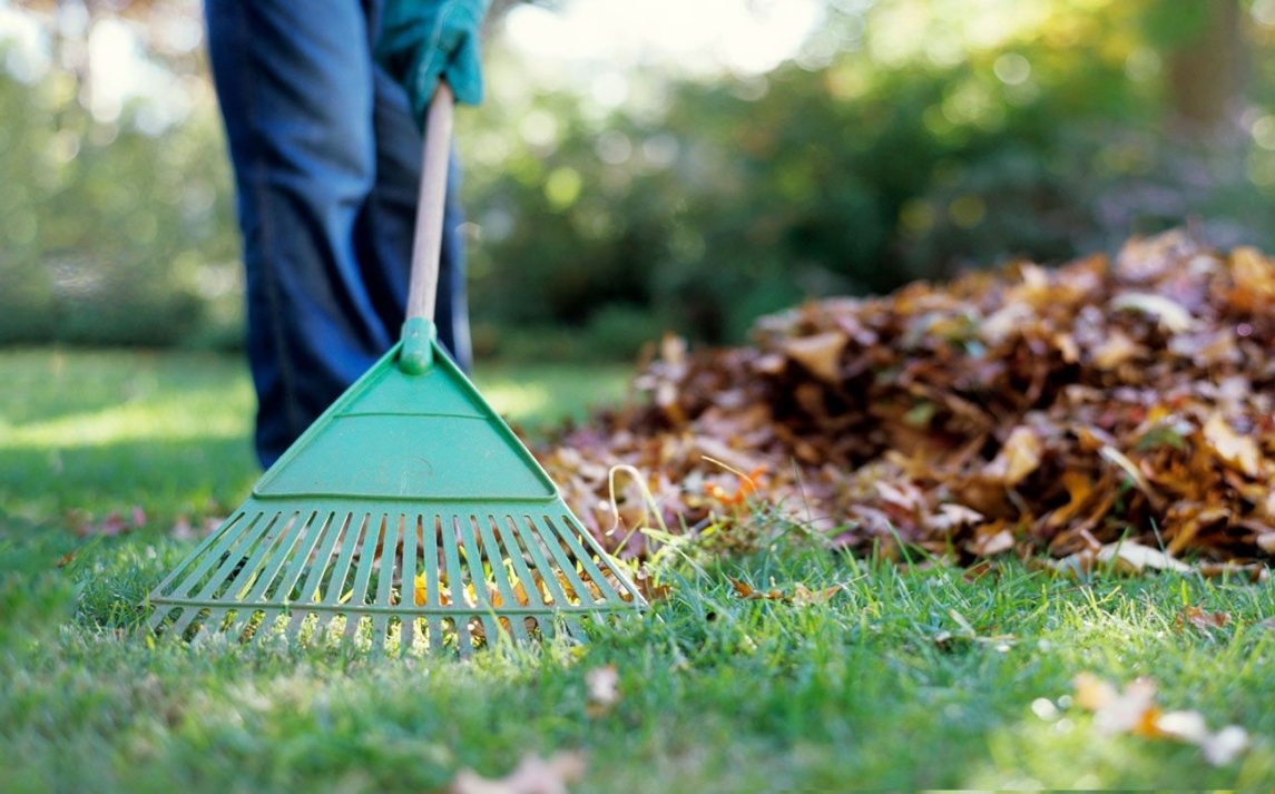 yard work edmonton